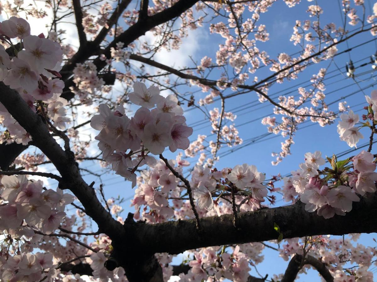 大阪市 Masaru Houseヴィラ エクステリア 写真